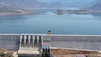Sehen Sie das modernste Schwerkraftbewässerungssystem der Region in Vietnam