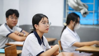 TP.HCM chính thức chọn ngoại ngữ là môn thứ 3 thi lớp 10 năm 2025