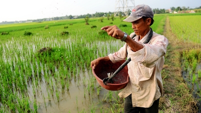 ដី​កសិកម្ម​របស់​វៀតណាម​លែង​មាន​ជីជាតិ​រហូត​ដល់​ហត់នឿយ។