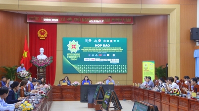 Mekong Connect Forum 2024 promotes Mekong Delta - Ho Chi Minh City cooperation