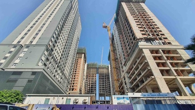 Đề nghị gia hạn Thông tư 08 thêm 1 năm