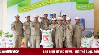 15 លានតោននៃអាសូតនិង 20 ឆ្នាំនៃការងារច្នៃប្រឌិតបន្ត