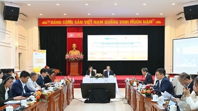 កសាងគោលនយោបាយទាក់ទាញគ្រូបង្រៀនពីបទពិសោធន៍អន្តរជាតិ