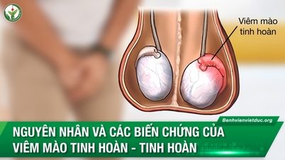 វេជ្ជបណ្ឌិតបង្ហាញពីមូលហេតុរោគសាស្ត្រដែលបុរសជាច្រើនមានការថយចុះមុខងារបុរស