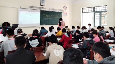 Da Nang: 7 campos socializados estarán exentos o se les reducirá el alquiler de la tierra