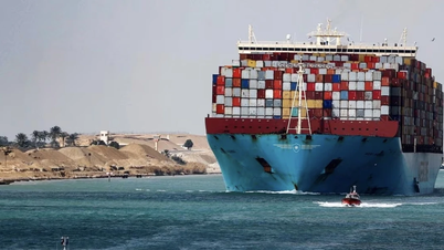 Doanh thu của kênh đào Suez giảm gần một nửa