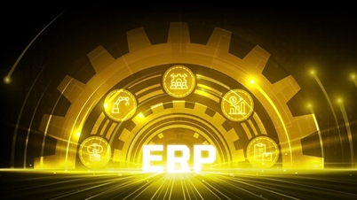 ERPソリューション - ベトナム企業の成長の原動力