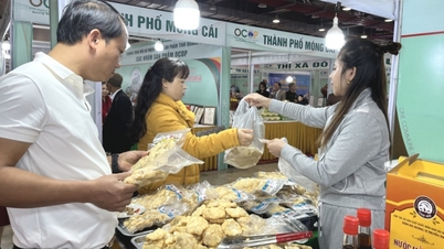 មហោស្រពអាហារ Quang Ninh ឆ្នាំ 2024