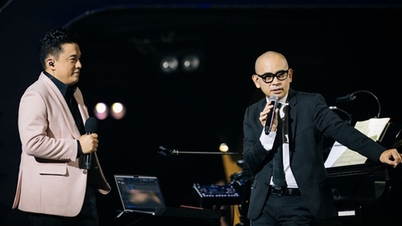 Say đắm với live show nhạc sĩ