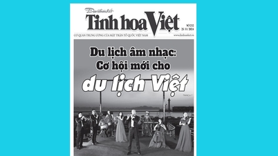 Tìm đọc Tinh hoa Việt số 232, phát hành ngày 25/11/2024