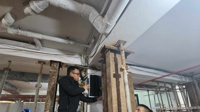 Chính quyền sở tại có vô can?
