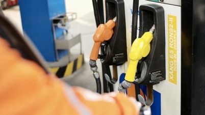 Enterprises propose to reduce total petroleum source allocated for 2024