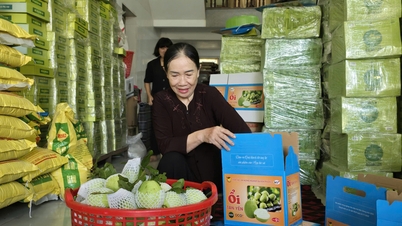 Tan Yen អភិវឌ្ឍផលិតផល OCOP ចម្រុះ កសាងស្រុកជនបទថ្មីជឿនលឿន