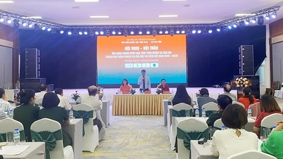 Hội nghị – Hội thảo Ứng dụng khung phân loại thập phân Dewey 23 (DDC 23) trong hoạt động nghiệp vụ của các thư viện Việt Nam