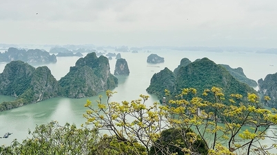 Nơi nào của Việt Nam vào top điểm đến tuyệt vời nhất thế giới?