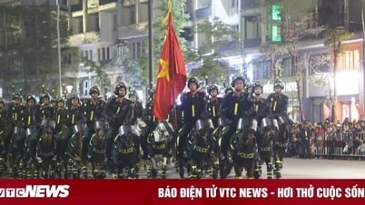 Ấn tượng màn trình diễn điêu luyện của kỵ binh trên đường phố Hạ Long