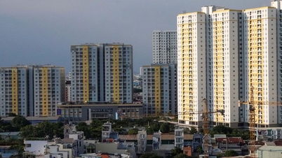 បញ្ហាច្បាប់ដីធ្លី
