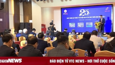 NEDI3 tổng kết công tác sản xuất kinh doanh năm 2023