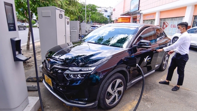 ក្រុមហ៊ុនមួយចំណាយ 500 ពាន់លានដើម្បីទិញរថយន្ត VinFast