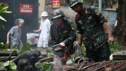 Quân đội huy động gần 270.000 người, 10 máy bay ứng phó áp thấp nhiệt đới
