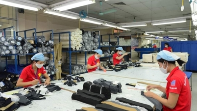 Xuất khẩu dệt may năm 2024 dự kiến tăng trưởng 8-10%