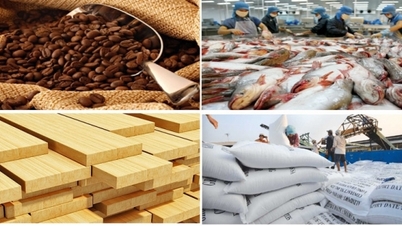 Hoa Kỳ là nhà mua nông lâm thủy sản nhiều nhất của Việt Nam trong 2 tháng đầu năm 2024