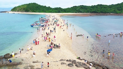 Surprising information about the Carp Island tour is causing a stir on social networks