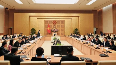 Vietnam's education reaches world-class level by 2045