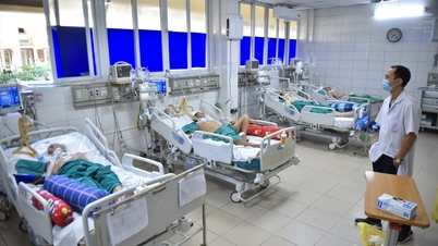 Các bệnh viện cần chủ động dự trữ thuốc điều trị sốt xuất huyết