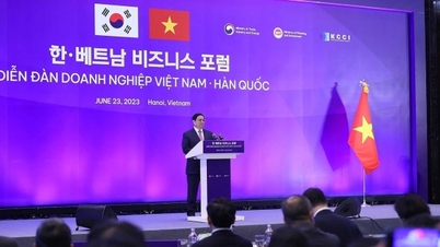 Promoting economic and investment cooperation between the two countries
