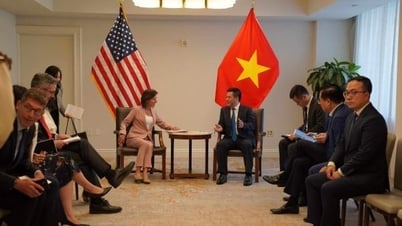 Việt Nam và Hoa Kỳ mong muốn hợp tác sâu hơn trong các lĩnh vực năng lượng, hàng không, đất hiếm