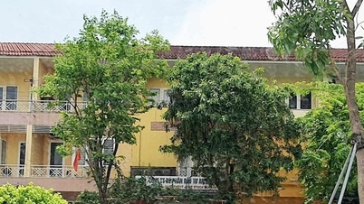 Thêm một công ty ở Huế bị phạt vì bán 99 căn nhà chưa đủ điều kiện