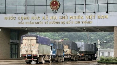 Nông sản được mùa xuất khẩu