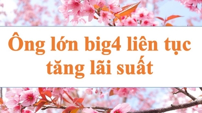 "Ông lớn" liên tục tăng lãi