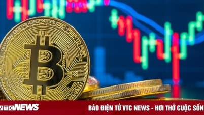 Sập bẫy đầu tư tiền ảo, người phụ nữ ở Hà Nội bị lừa hơn 2 tỷ đồng