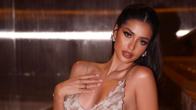 Miss Universe Vietnam 2024: Anntonia Porsild