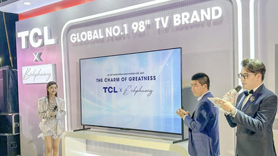 TCL công bố người đồng hành thương hiệu 2023 tại Việt Nam