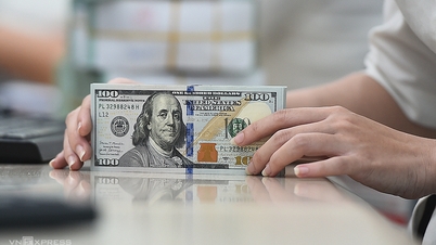 Giá USD vượt 24.000 đồng