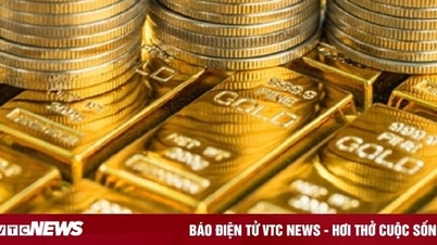 Chuyên gia đưa ra lời khuyên nhà đầu tư