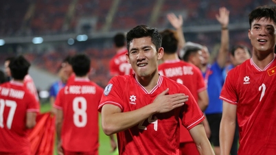 ‘Công lý được thực thi, Việt Nam xứng đáng vô địch’