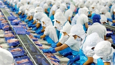 Vĩnh Hoàn (VHC) kinh doanh trượt dài đầu năm, vừa bị UBCKNN nhắc nhở
