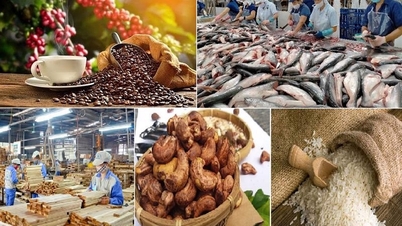 Agricultural, forestry and fishery exports reach over 24 billion USD in 5 months