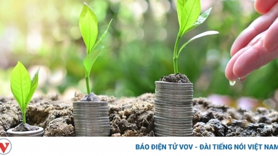 Một số cổ phiếu cần quan tâm ngày 12/12