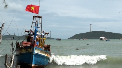 Bộ đội Hải quân Vùng 5 kịp thời cứu kéo tàu cá ngư dân gặp nạn