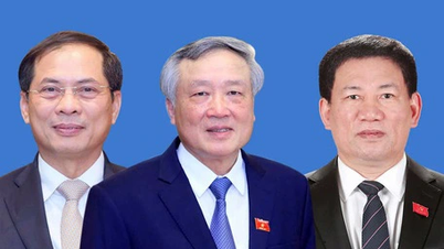 Các ông Nguyễn Hòa Bình, Hồ Đức Phớc, Bùi Thanh Sơn làm phó thủ tướng