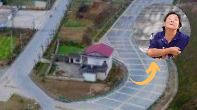Đòi 340 tỷ bồi thường cho căn nhà 50m2, sau 16 năm chủ nhà phải trả giá đắt vì lòng tham không đáy