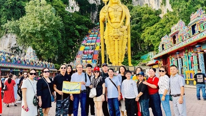 International tours attract customers, domestic tours are waiting to be booked