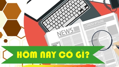 Hôm nay có gì? Ngày 23/6/2023