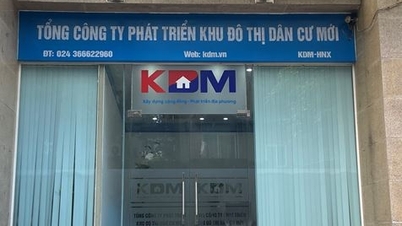 KDMの株価を操作して100億ドンの不法利益を得た個人が起訴される