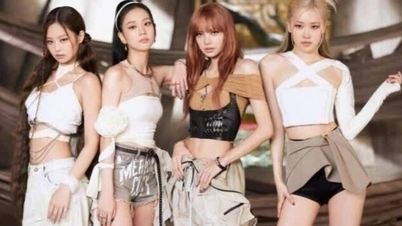 Ban tổ chức concert BlackPink tại Việt Nam xin lỗi